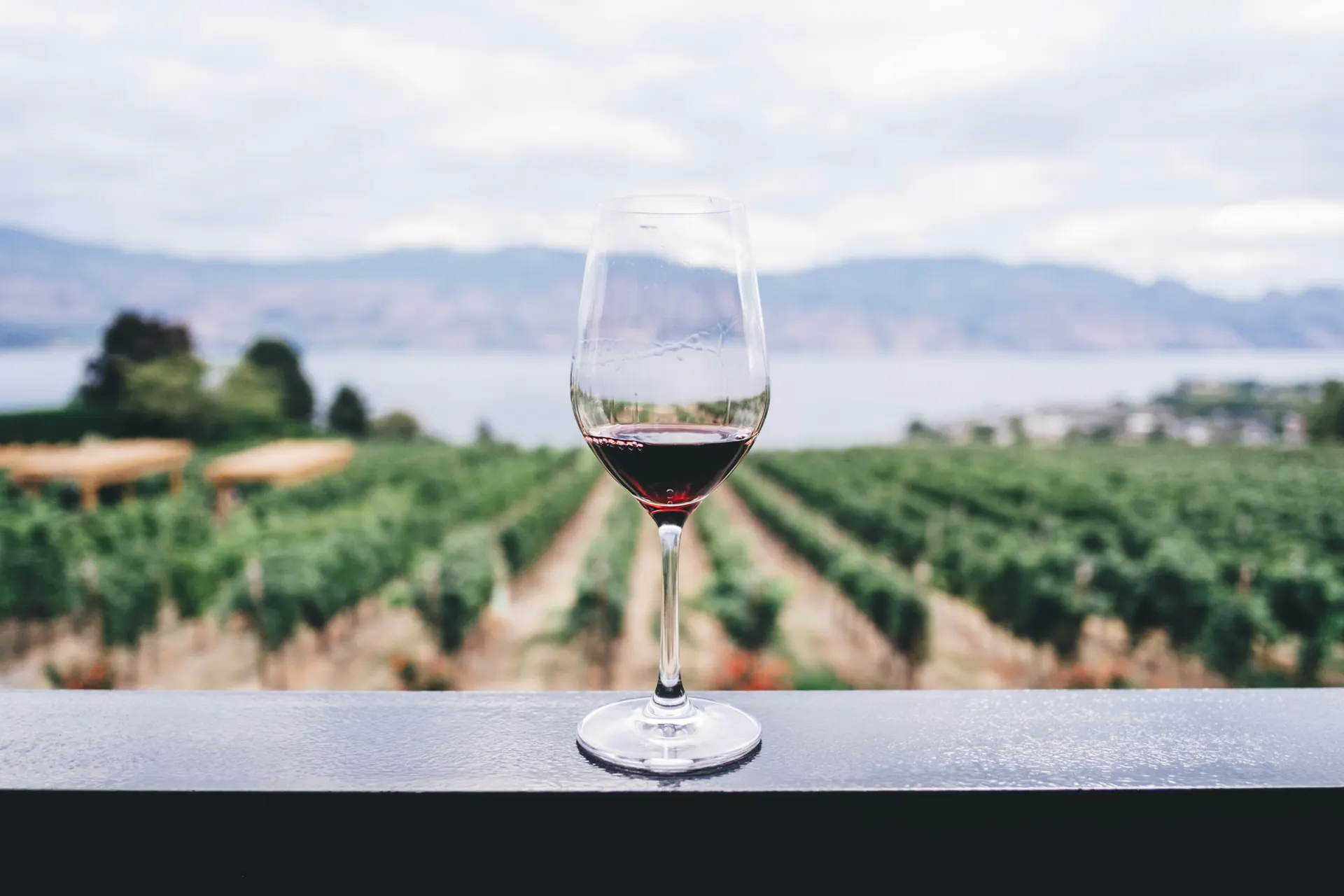 A single wine glass on a wooden table
